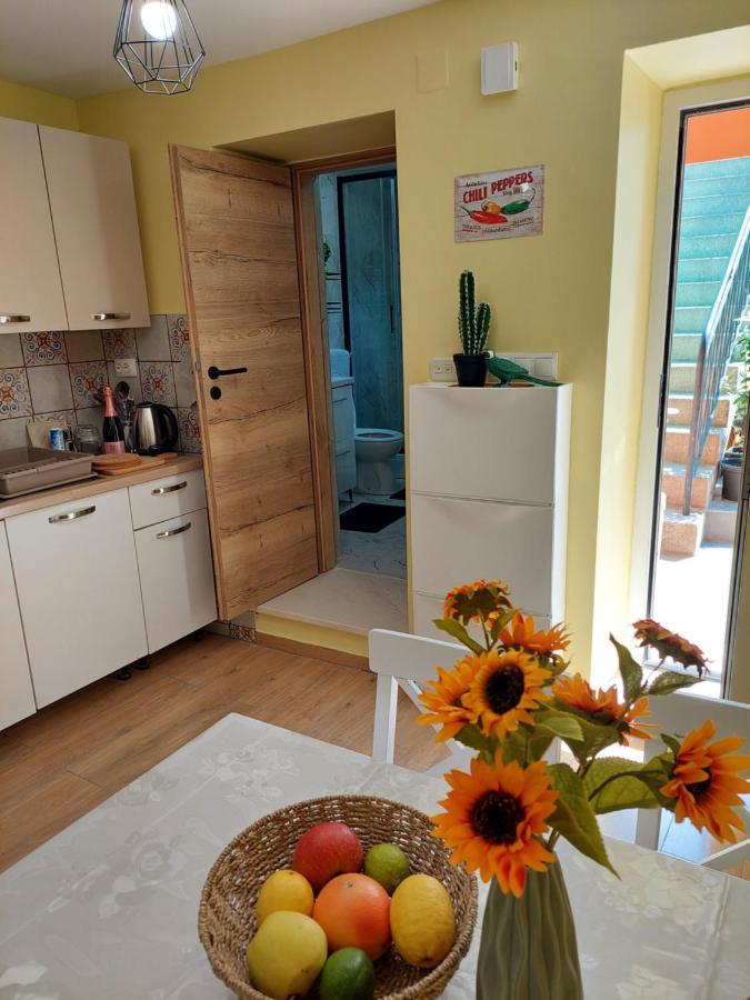 Mexicana Apartment Yellow Zadar Exterior foto